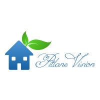 Pitlane Vision Logo